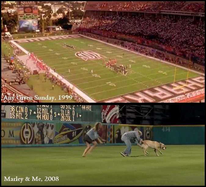 Scene from marley & me and Any given sunday