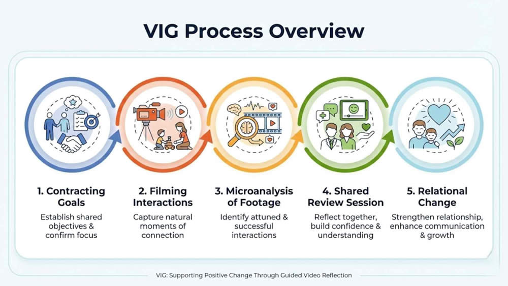 VIG Process Overview