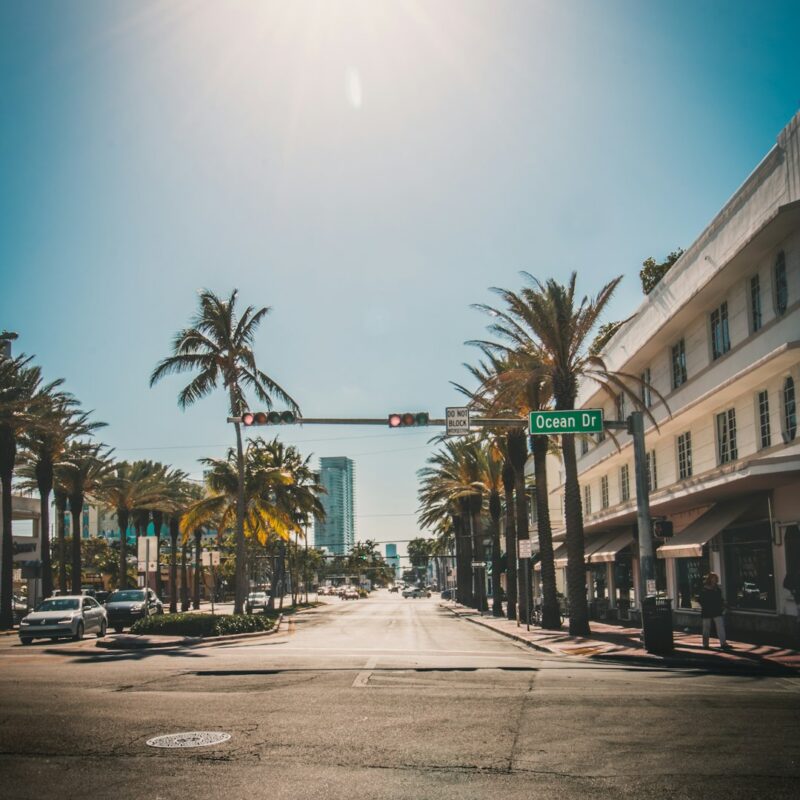 traffic light beside palm tree during daytime